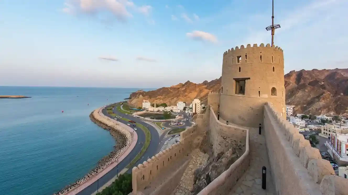 New-Project-4_14_11zon